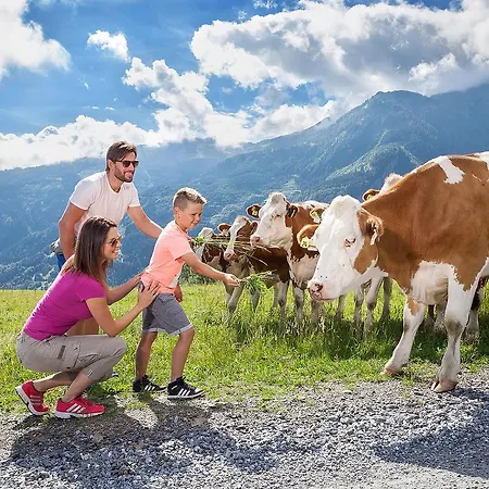 דירה Sonneck Summer Card Included