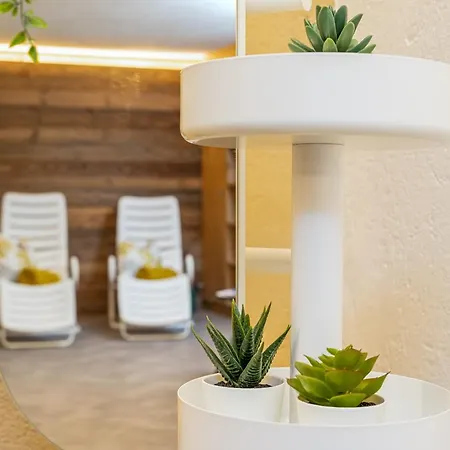 דירה Sonneck Summer Card Included *